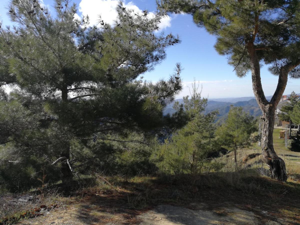 Bed and Breakfast Heaven Of Prodromos Exterior foto